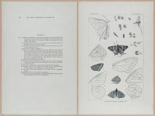 E377 - Report of the Secretary of the Interior - Vol III - 1889 - 18715-18716
