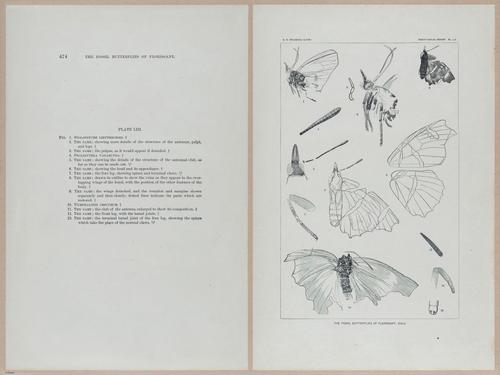 E377 - Report of the Secretary of the Interior - Vol III - 1889 - 18717-18718