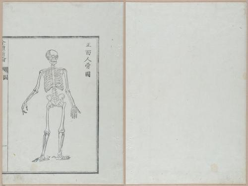 E419 - Japanese Medical - i20478-20477