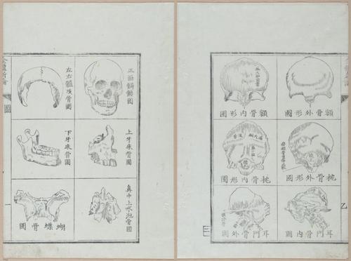 E419 - Japanese Medical - i20482-20481