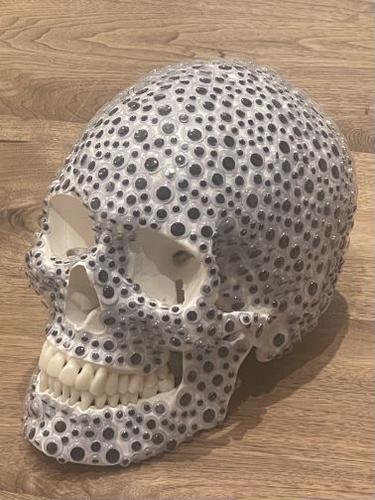 Skull - 2023