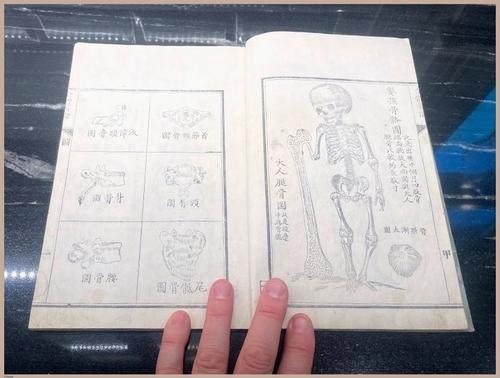 E419 - Japanese Medical - i8352