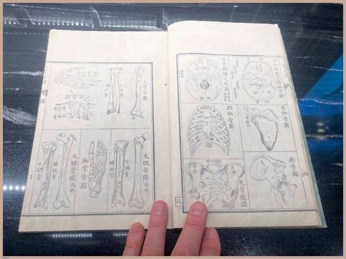 E419 - Japanese Medical - i8353