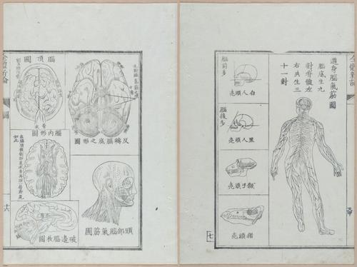 E419 - Japanese Medical - i20492-20491