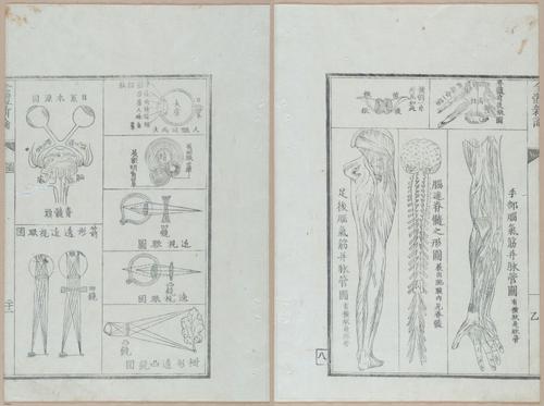 E419 - Japanese Medical - i20494-20493