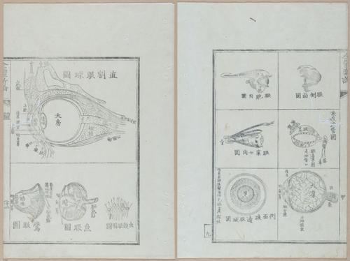 E419 - Japanese Medical - i20496-20495