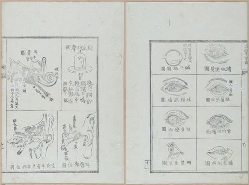 E419 - Japanese Medical - i20498-20497