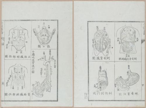E419 - Japanese Medical - i20508-20507