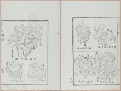 E419 - Japanese Medical - i20510-20509