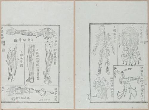 E419 - Japanese Medical - i20513-20512