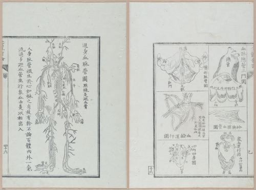 E419 - Japanese Medical - i20515-20514