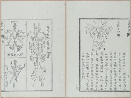 E419 - Japanese Medical - i20517-20516