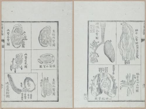 E419 - Japanese Medical - i20519-20518