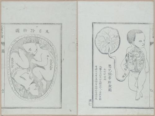 E419 - Japanese Medical - i20525-20524