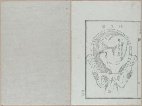 E419 - Japanese Medical - i20527-20526
