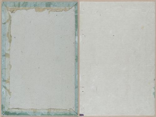E419 - Japanese Medical - i20529-20528