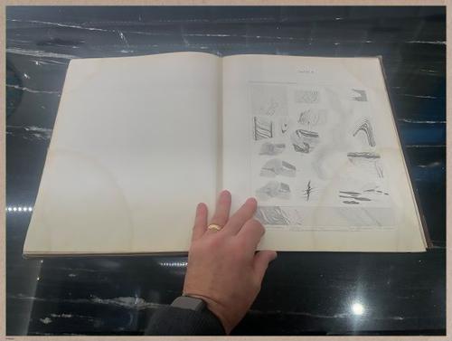 E425 - German Geology - 1884 - 8582
