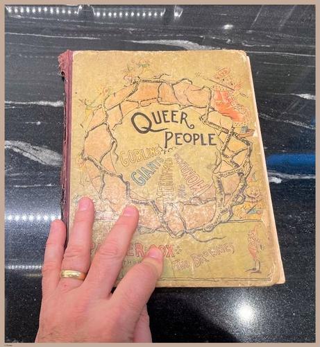 E430 - Queer People - i8804