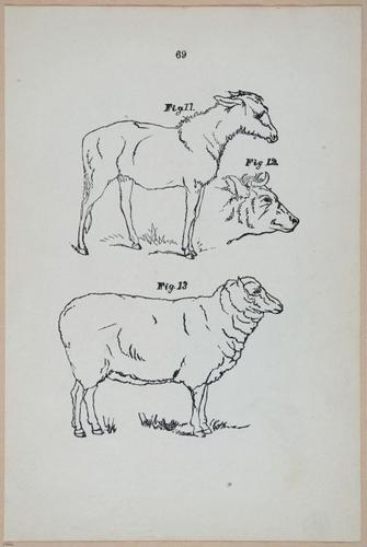 E426 - How to Paint - i21063