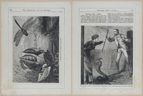 E442 - The Christmas Book - i22422-22423