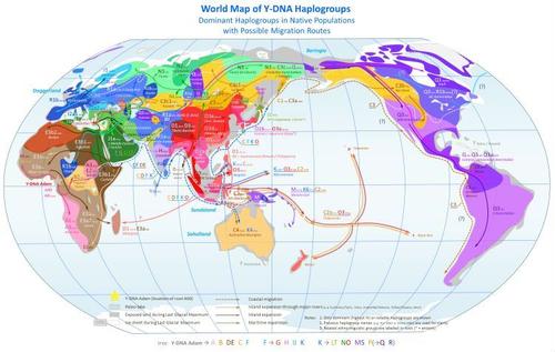 Speculation - Y-DNA Haplogroups & Migration Routes - Brandon Joung