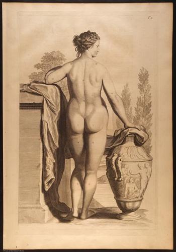 E466 - Anatomy Atlas - Cowper - i0572