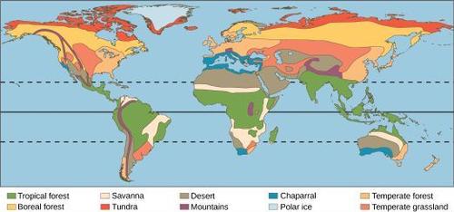 Nikhil DeNatale - Biomes Map
