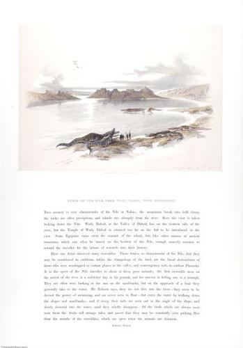 E464 - David Roberts - i0700197