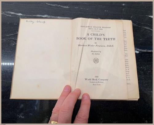 E475 - Teeth - i0037
