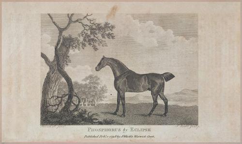 E476 - Sports Magazine - 1797 - 22639