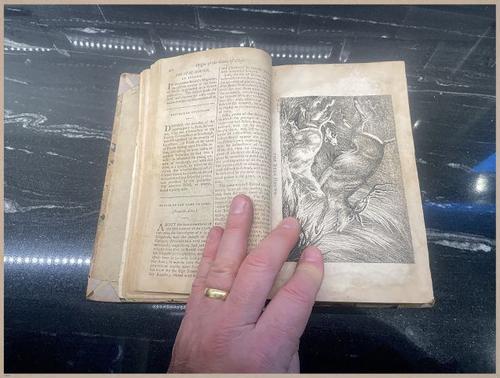 E476 - Sports Magazine - 1797 - 9112