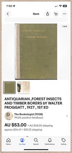 E499 - Forest Insects - 1927 - 8550