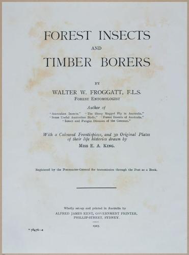 E499 - Forest Insects - 1927 - 20710