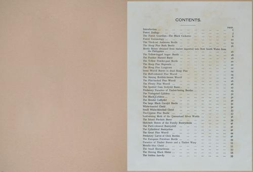 E499 - Forest Insects - 1927 - 20711