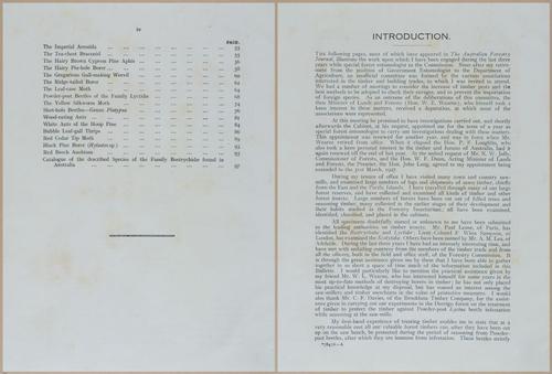 E499 - Forest Insects - 1927 - 20712-20713