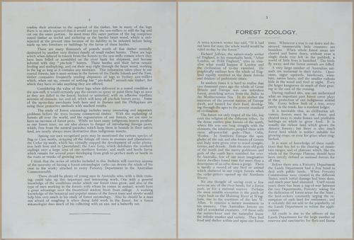 E499 - Forest Insects - 1927 - 20714-20715