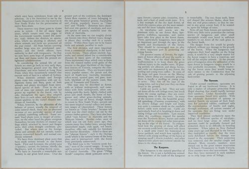 E499 - Forest Insects - 1927 - 20716-20717