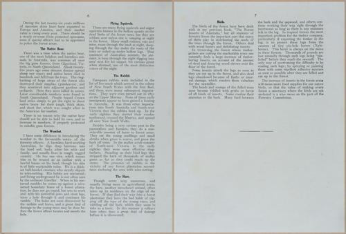 E499 - Forest Insects - 1927 - 20718-20719