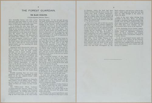 E499 - Forest Insects - 1927 - 20720-20721