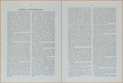 E499 - Forest Insects - 1927 - 20722-20723