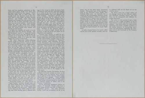 E499 - Forest Insects - 1927 - 20724-20725