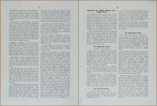 E499 - Forest Insects - 1927 - 20764-20765