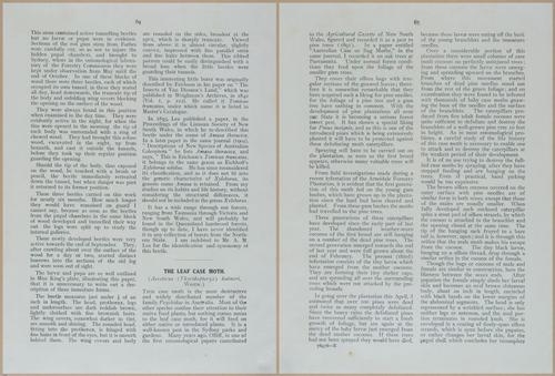 E499 - Forest Insects - 1927 - 20776-20777