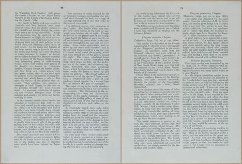 E499 - Forest Insects - 1927 - 20790-20791