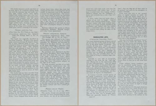 E499 - Forest Insects - 1927 - 20792-20793