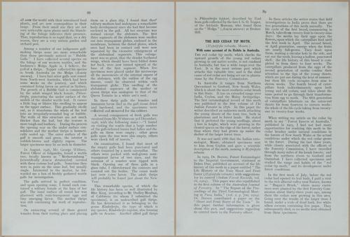 E499 - Forest Insects - 1927 - 20800-20801