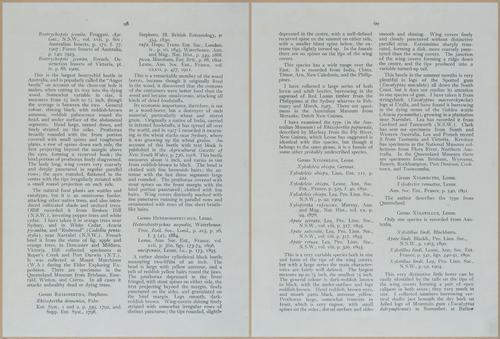 E499 - Forest Insects - 1927 - 20810-20811