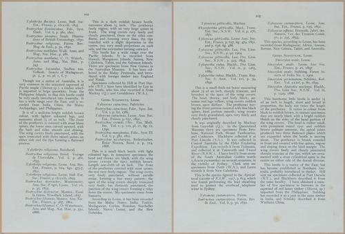 E499 - Forest Insects - 1927 - 20814-20815