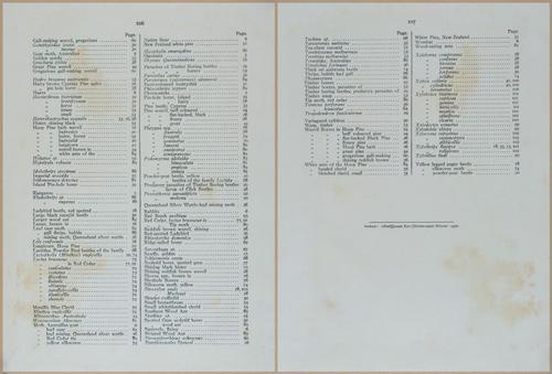 E499 - Forest Insects - 1927 - 20817-20818