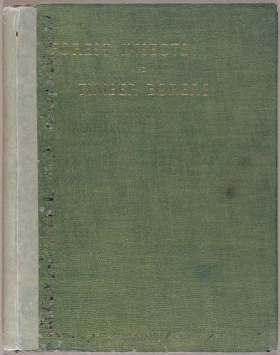 E499 - Forest Insects - 1927 - 20819